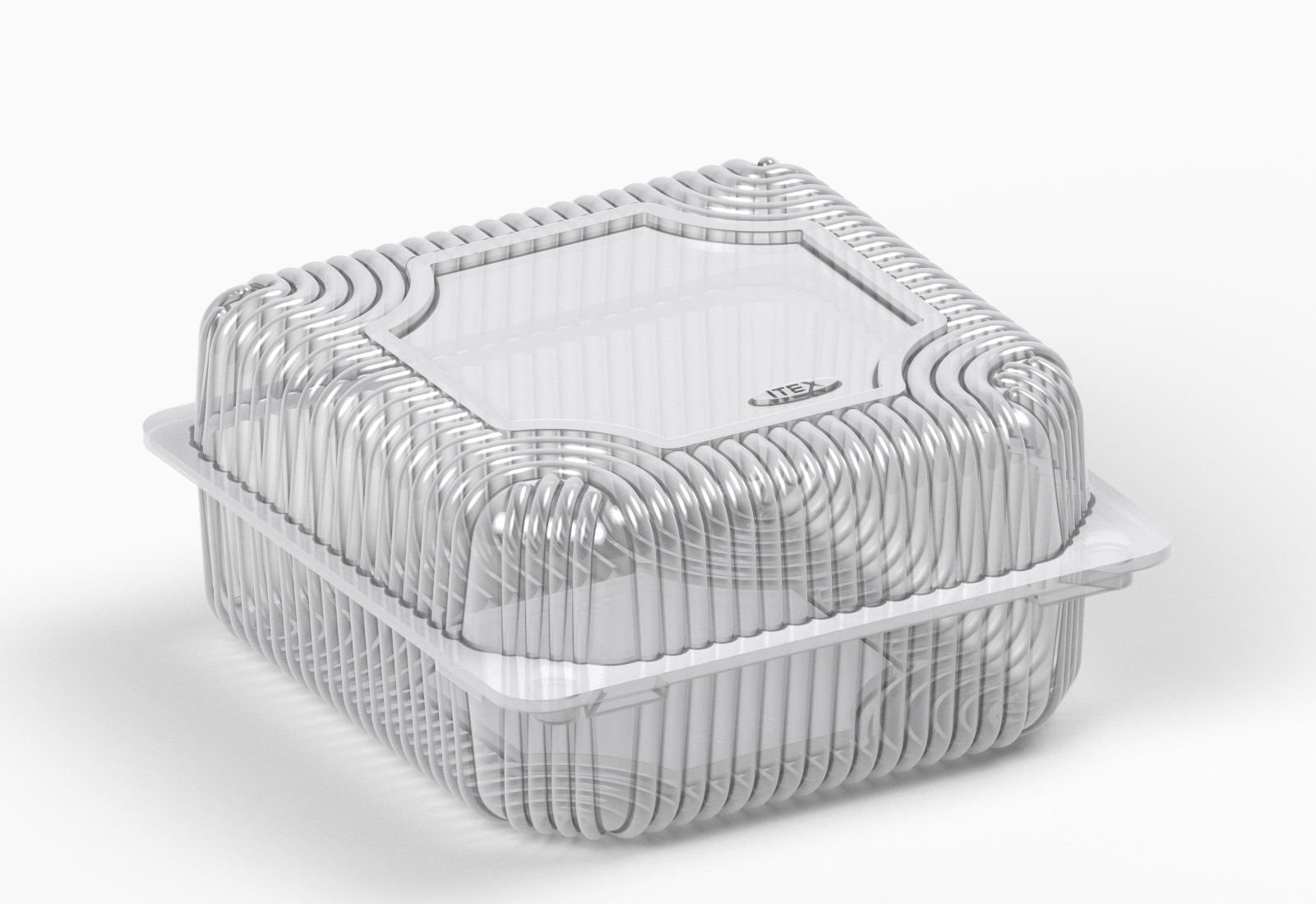 Харчовий контейнер ITEX IT-251